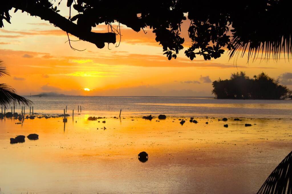 Bungalow Tiarii, Avec Acces Direct A Une Plage Privee Tevaitoa Exteriér fotografie